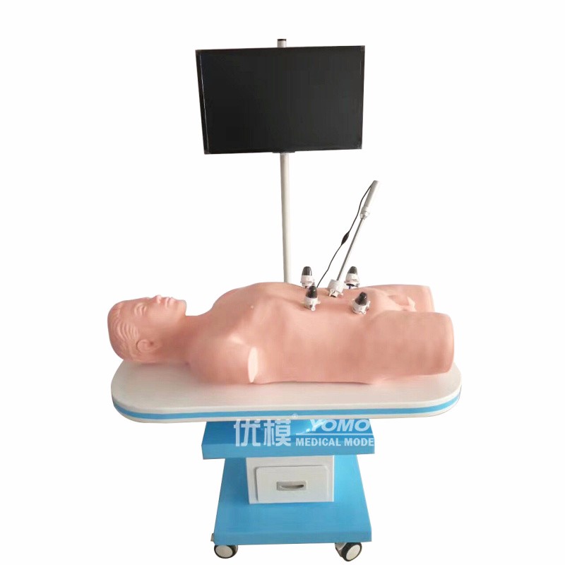 仿真人體腹腔鏡模擬訓練系統
